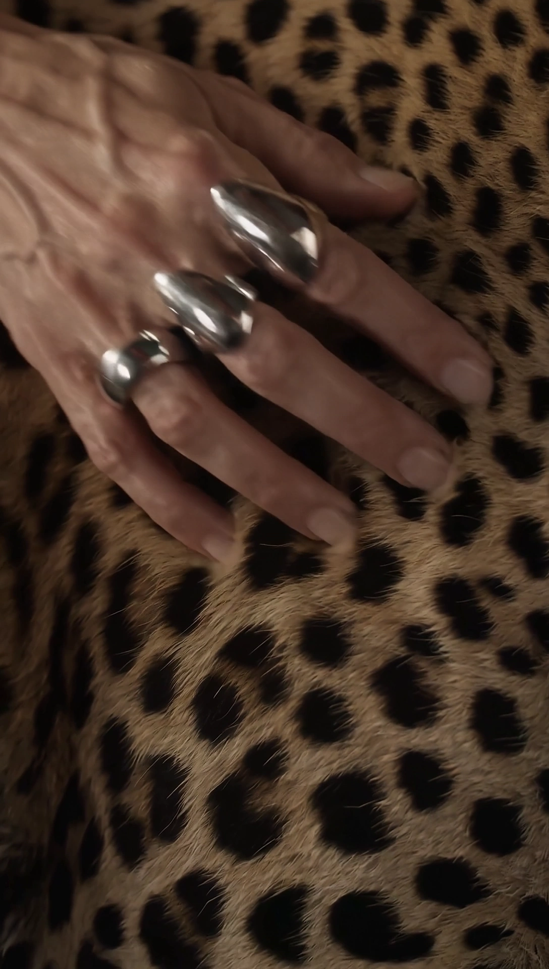 Leopard room